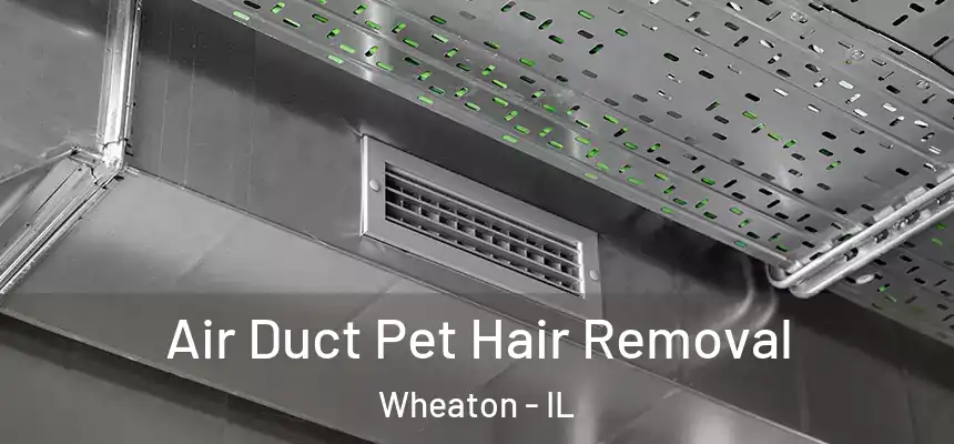 Air Duct Pet Hair Removal Wheaton - IL