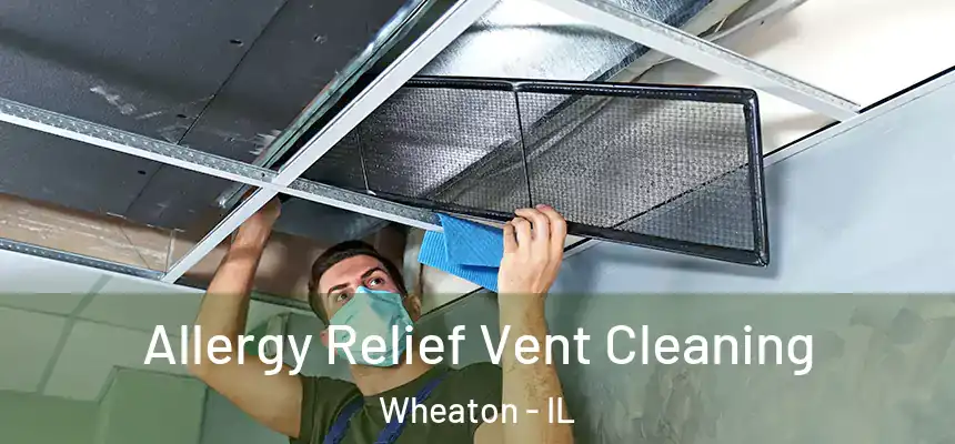  Allergy Relief Vent Cleaning Wheaton - IL