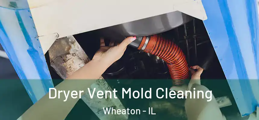  Dryer Vent Mold Cleaning Wheaton - IL