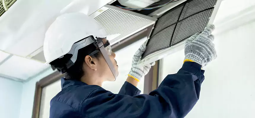 Our Mold & Mildew Removal from Air Ducts Services in Wheaton, IL