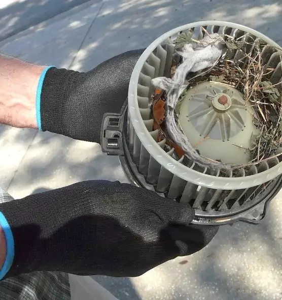 About Air Duct Mice Removal in Wheaton, IL