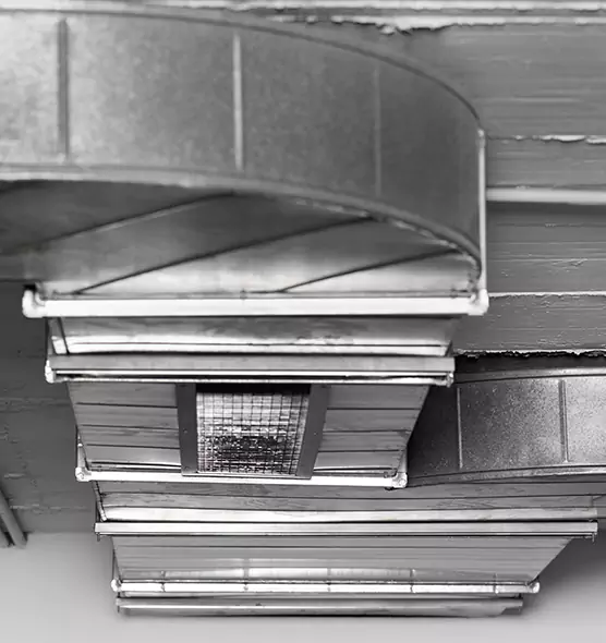 Professional Air Duct Pest Removal in Wheaton, IL