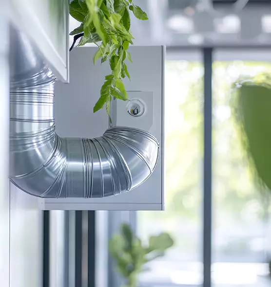 Professional Eco-Friendly Duct Cleaning Services in Wheaton, IL