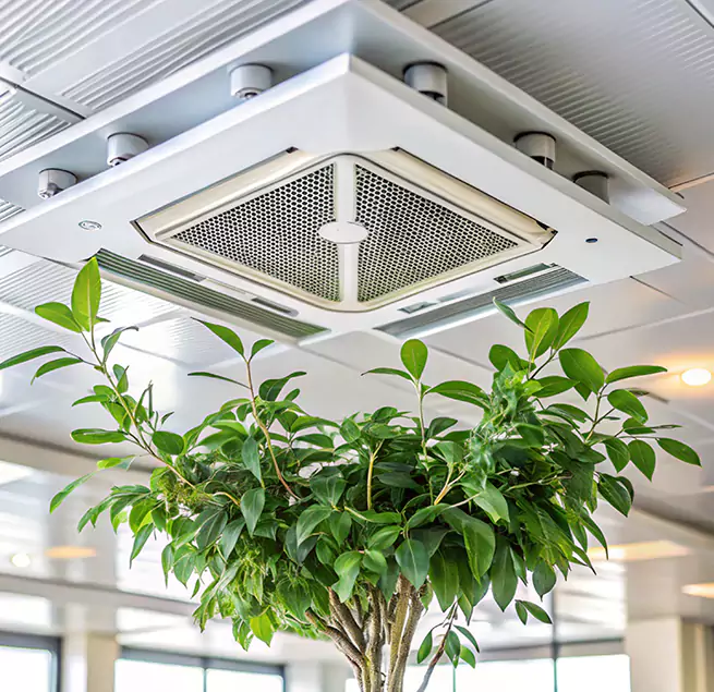 Why Homeowners & Businesses Trust Us in Wheaton, IL?