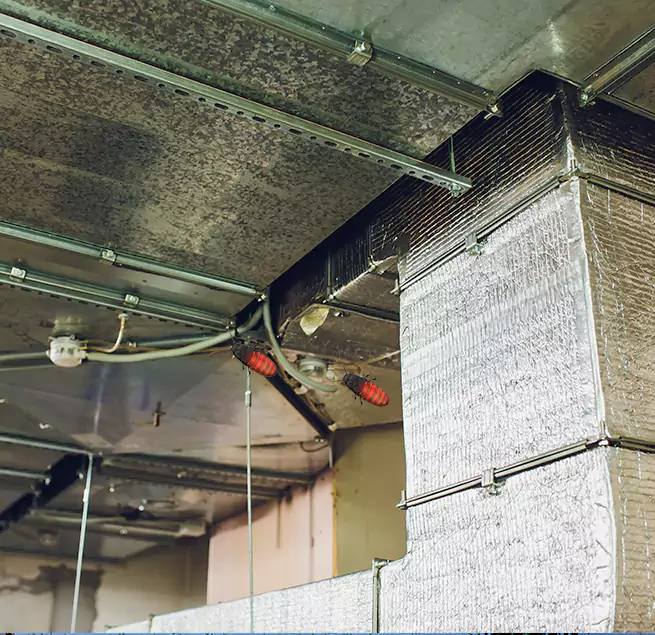 Why Homeowners & Businesses Trust Us Wheaton, IL?