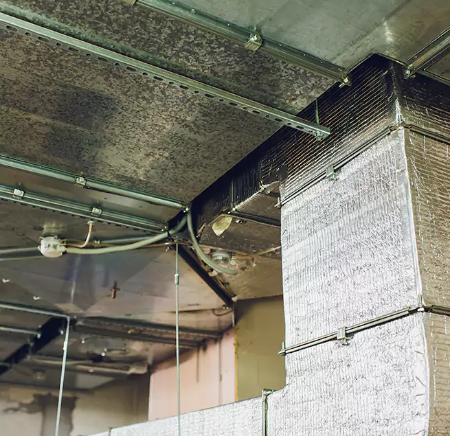 Why Homeowners & Businesses Trust Us in Wheaton, IL?