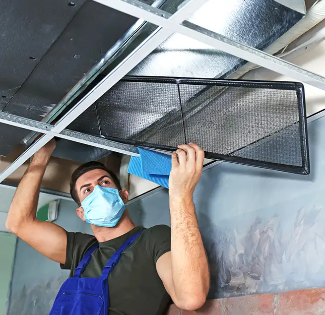 Why Homeowners & Businesses Trust Us in Wheaton, IL?